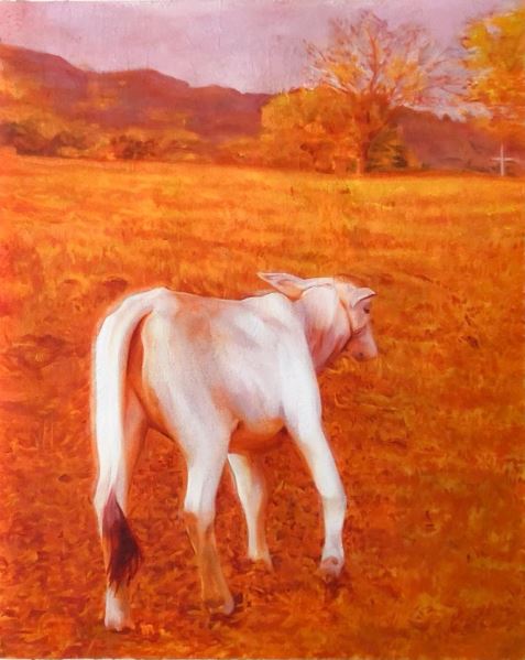 KU-RING-GAI (CARABAO) Jono Pisano Oil On Canvas 76 x 61 cm 2019 modeka art creative space