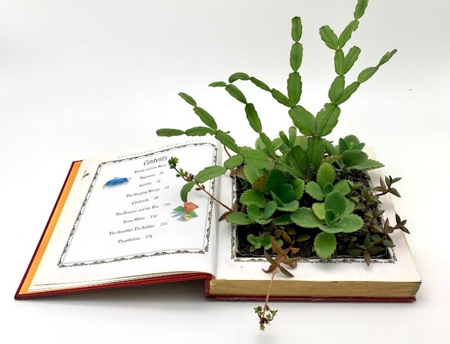 Group Show | Library of Enigmas